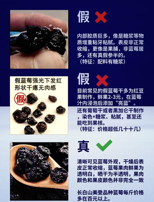 蓝莓多少钱一斤，蓝莓费用，蓝莓大概多少钱一斤-第5张图片-优品飞百科