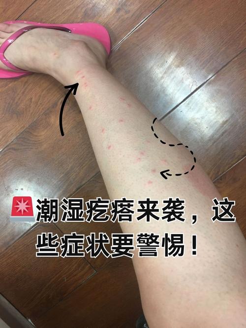 北京天气燕郊天气，天气预报燕郊天气预报？-第2张图片-优品飞百科