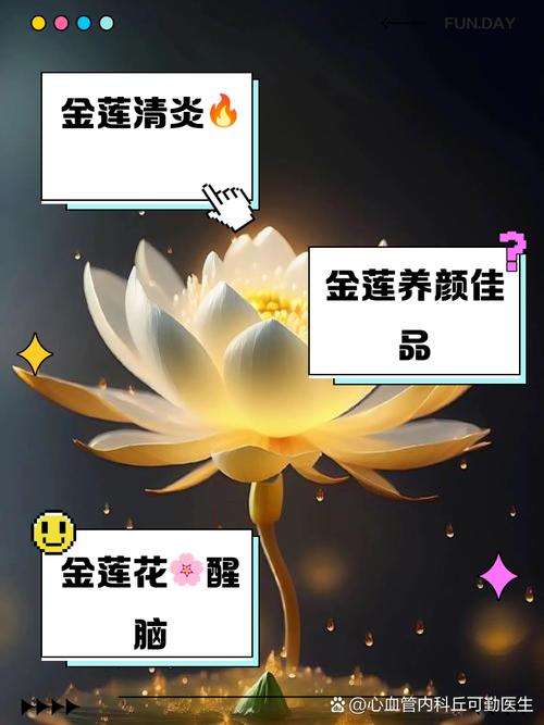 金莲花的作用，金莲花的作用与功效有哪些-第5张图片-优品飞百科