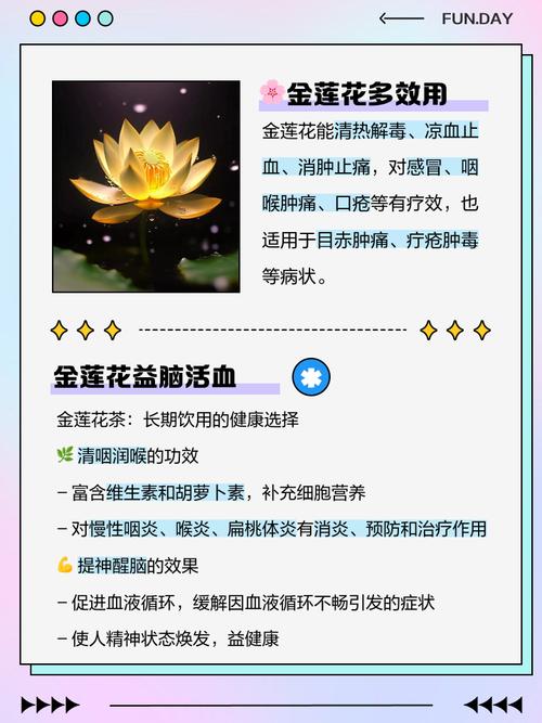 金莲花的作用，金莲花的作用与功效有哪些-第7张图片-优品飞百科