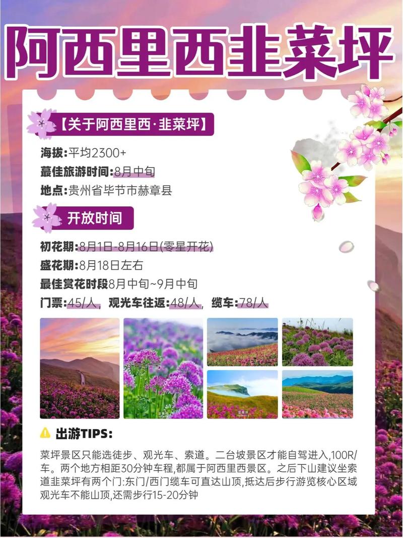 邛崃天台山天气预报，邛崃天台山今天天气？-第2张图片-优品飞百科