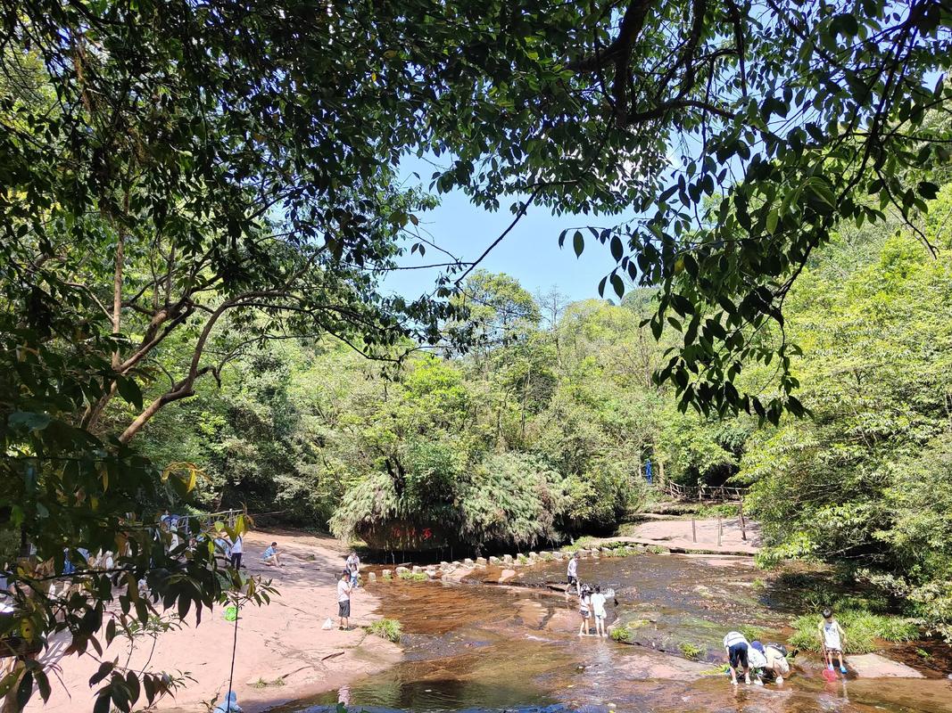 邛崃天台山天气预报，邛崃天台山今天天气？-第4张图片-优品飞百科