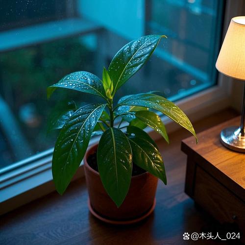 卧室晚上可以放植物吗?卧室晚上能放植物吗?-第4张图片-优品飞百科 卧室晚上可以放植物吗?卧室晚上能放植物吗?-第4张图片-优品飞百科