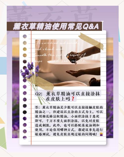 薰衣草花期,薰衣草的功效,薰衣草花怎么养殖方法-第4张图片-优品飞百科 薰衣草花期,薰衣草的功效,薰衣草花怎么养殖方法-第4张图片-优品飞百科