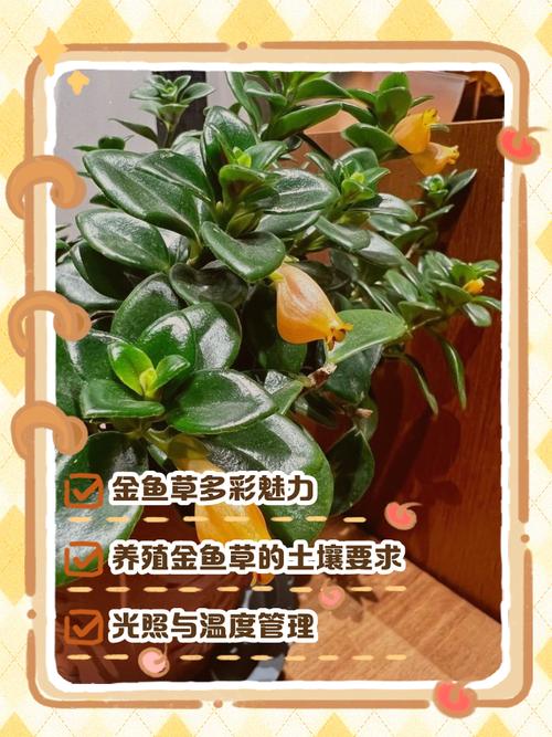 金鱼草适合放在卧室吗？金鱼草可以放在卧室吗？-第5张图片-优品飞百科