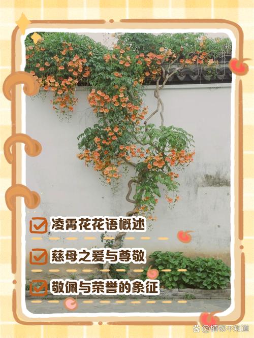 凌霄花花语？凌霄花花语是什么意思？-第1张图片-优品飞百科