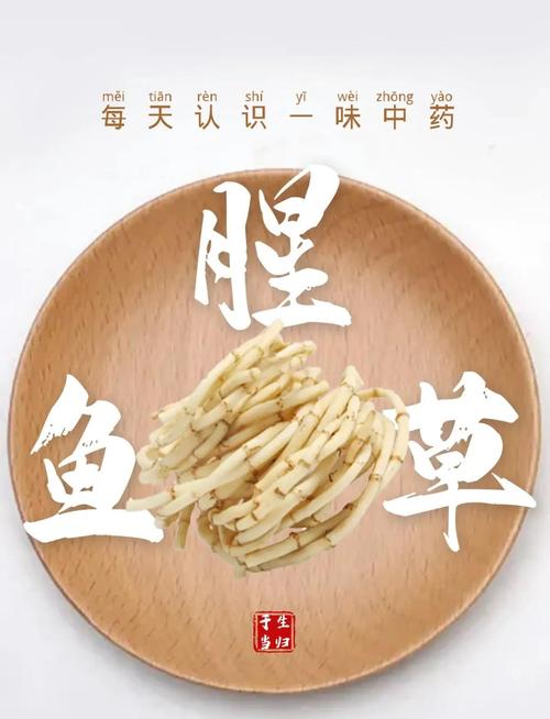 鱼腥草的副作用与禁忌？鱼腥草为何是丧命茶？-第5张图片-优品飞百科