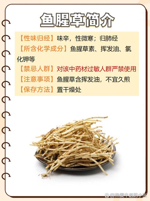 鱼腥草的副作用与禁忌？鱼腥草为何是丧命茶？-第6张图片-优品飞百科