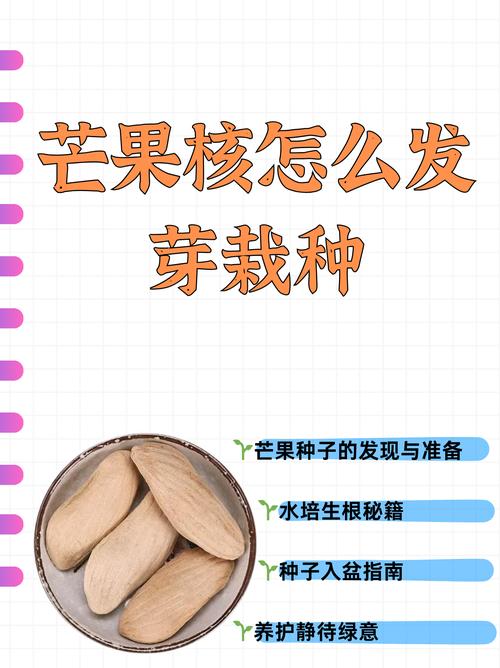 芒果怎么种，芒果图片？芒果怎么种教程？-第1张图片-优品飞百科