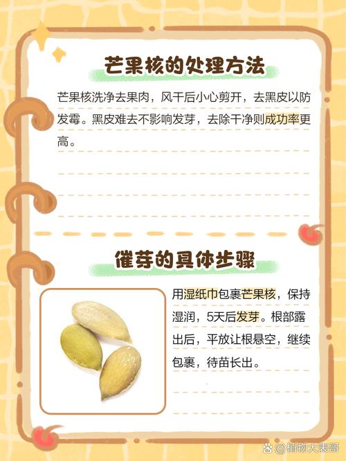 芒果怎么种，芒果图片？芒果怎么种教程？-第5张图片-优品飞百科