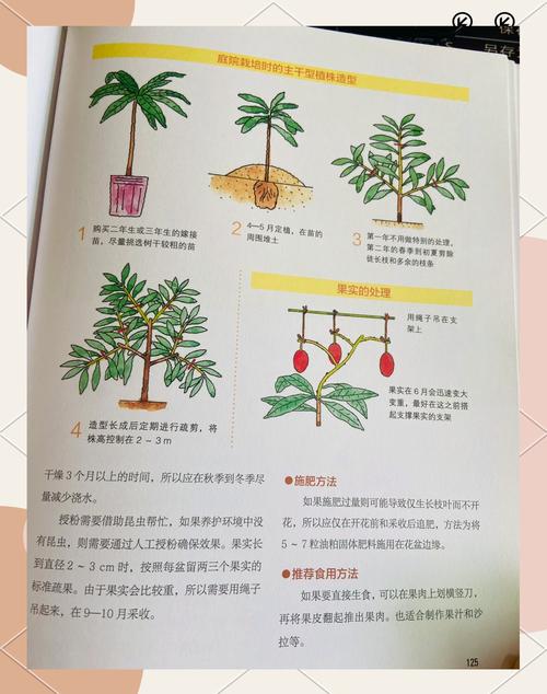 芒果怎么种，芒果图片？芒果怎么种教程？-第7张图片-优品飞百科