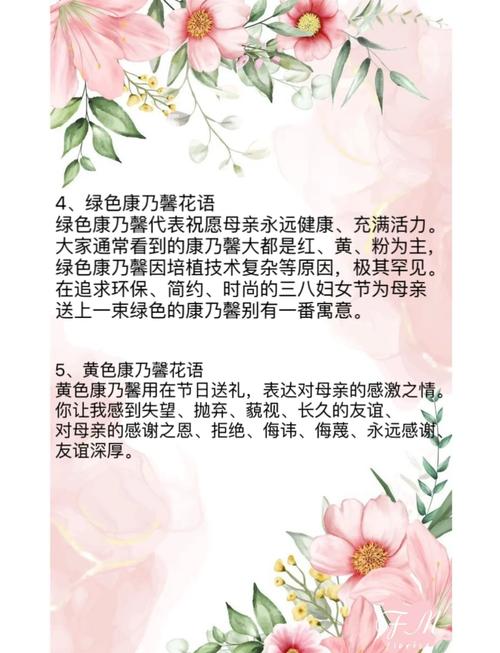 康乃馨各色花语及象征意义，各色康乃馨的花语？