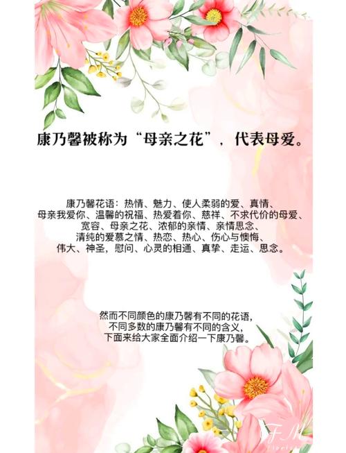 康乃馨各色花语及象征意义，各色康乃馨的花语？-第2张图片-优品飞百科