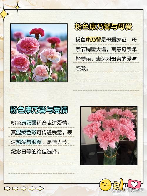 康乃馨各色花语及象征意义，各色康乃馨的花语？-第5张图片-优品飞百科