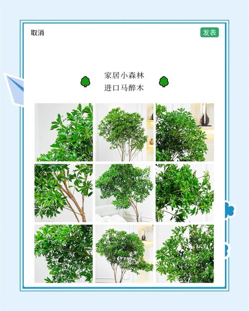 马醉木有毒吗能家养吗，马醉木是否有毒-第4张图片-优品飞百科