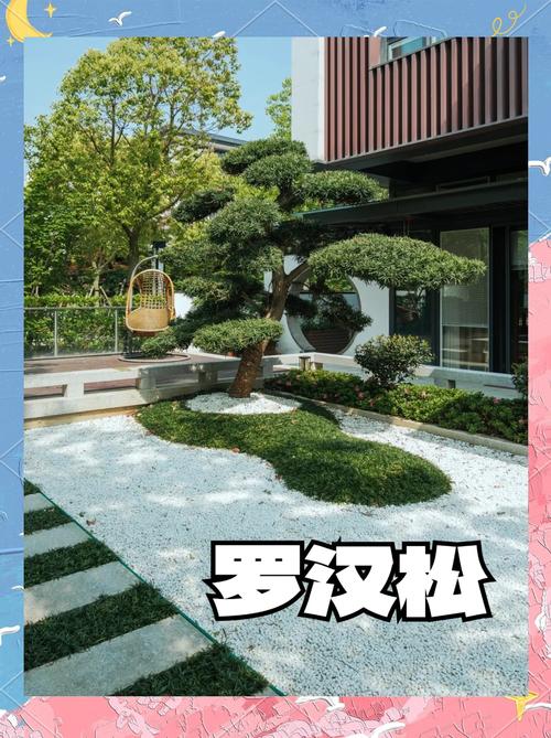 这7种植物能改善你的家居风水，什么植物适合家居风水？-第3张图片-优品飞百科