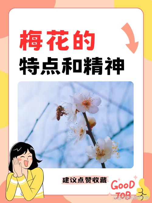 梅花代表什么象征意义，梅花代表什么象征意义和精神品质？-第2张图片-优品飞百科