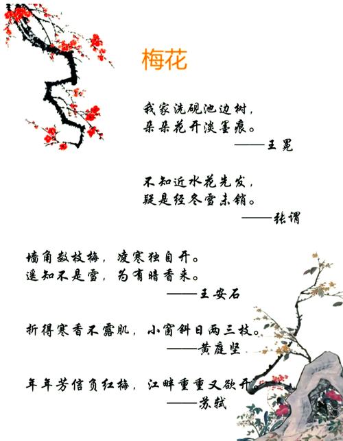 梅花代表什么象征意义，梅花代表什么象征意义和精神品质？-第3张图片-优品飞百科