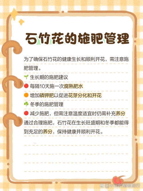 丝石竹的养殖方法？丝竹石是什么意思？-第2张图片-优品飞百科
