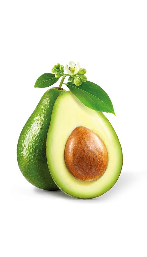 牛油果是水果吗，牛油果长什么样，牛油果是水果?？-第3张图片-优品飞百科