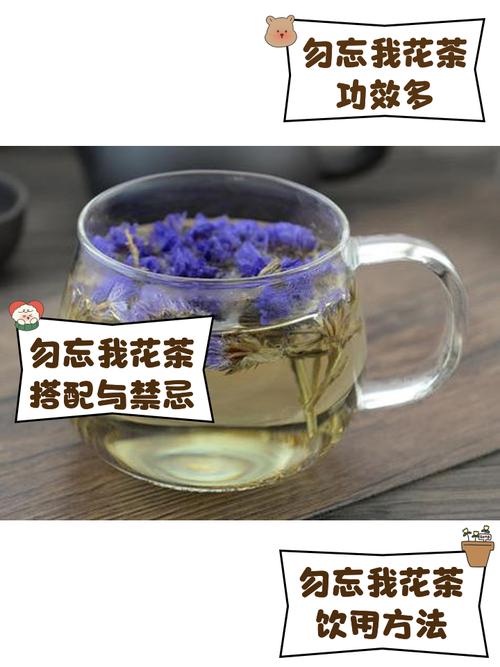 勿忘我花茶，怎么喝更健康？，勿忘我花茶怎么做？-第3张图片-优品飞百科