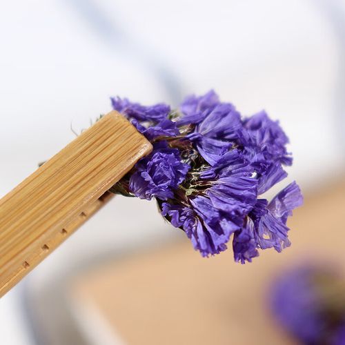 勿忘我花茶，怎么喝更健康？，勿忘我花茶怎么做？-第6张图片-优品飞百科