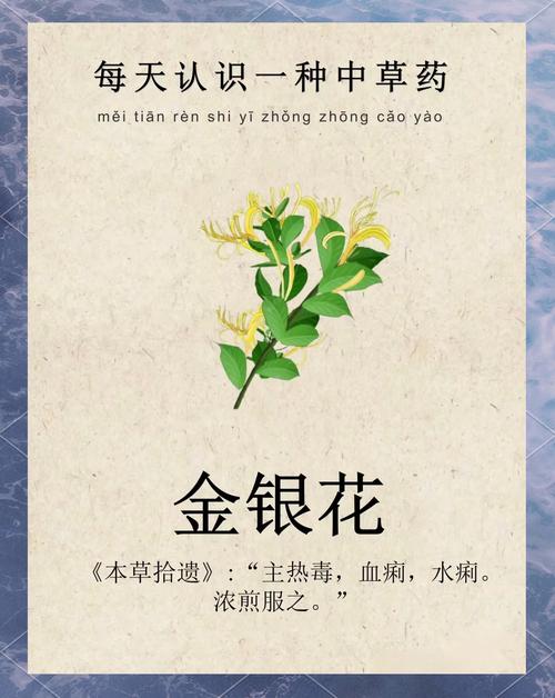 金银花的功效与作用，金银花的功效与作用百度百科-第1张图片-优品飞百科