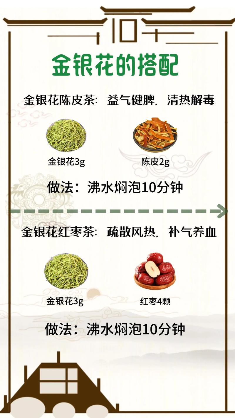 金银花的功效与作用，金银花的功效与作用百度百科-第3张图片-优品飞百科