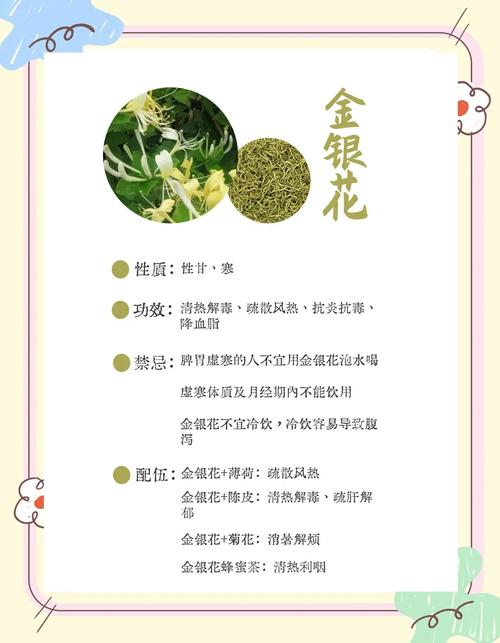 金银花的功效与作用，金银花的功效与作用百度百科-第4张图片-优品飞百科