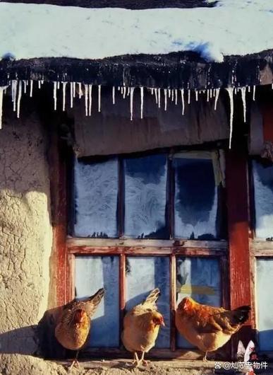 牙克石天气预报,牙克石天气预报天气48小时?-第2张图片-优品飞百科 牙克石天气预报,牙克石天气预报天气48小时?-第2张图片-优品飞百科