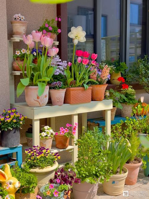 哪些花卉会对人体造成不良反应，哪些花卉会引起过敏？-第3张图片-优品飞百科