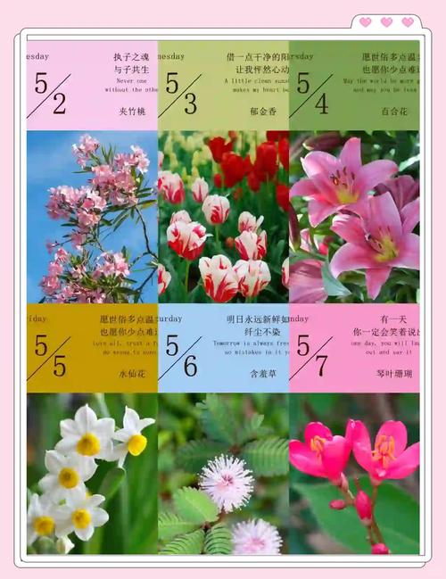 哪些花卉会对人体造成不良反应，哪些花卉会引起过敏？-第6张图片-优品飞百科