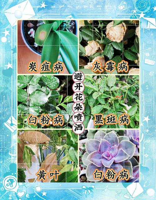 哪些花卉会对人体造成不良反应，哪些花卉会引起过敏？-第8张图片-优品飞百科