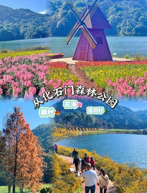 常德石门天气预报，常德石门天气预报7天一周？-第6张图片-优品飞百科