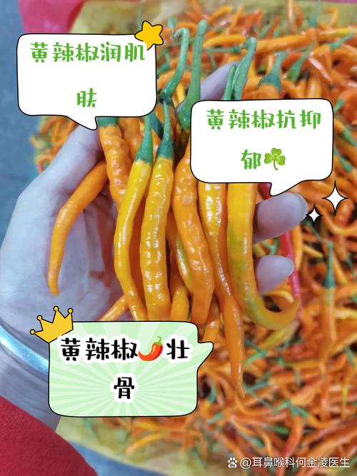 黄椒的功效与作用，黄椒的功效与作用营养价值-第6张图片-优品飞百科