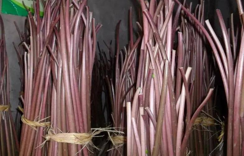 佩兰的功效与作用？香附的功效与作用？-第7张图片-优品飞百科