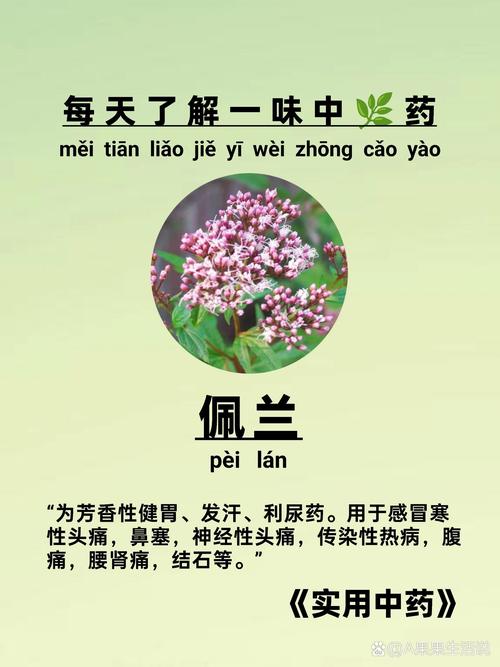 佩兰的功效与作用？香附的功效与作用？-第8张图片-优品飞百科