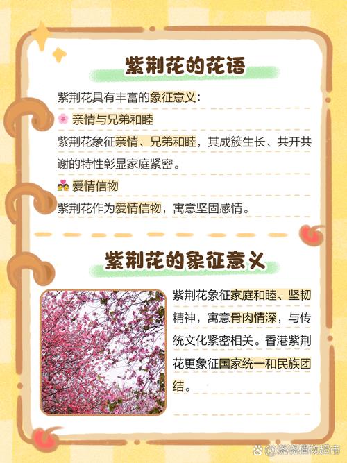 紫荆的花语及传说，紫荆花的花语和象征意义-第3张图片-优品飞百科