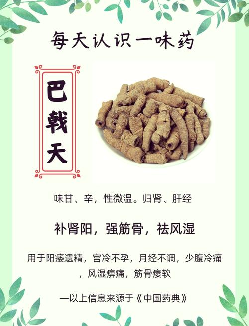 巴戟天的功效与作用，巴戟天的功效与作用是什么？-第2张图片-优品飞百科