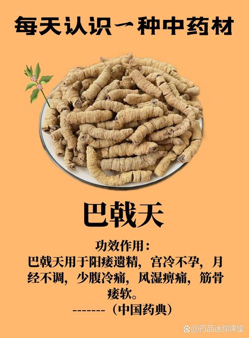 巴戟天的功效与作用，巴戟天的功效与作用是什么？-第4张图片-优品飞百科