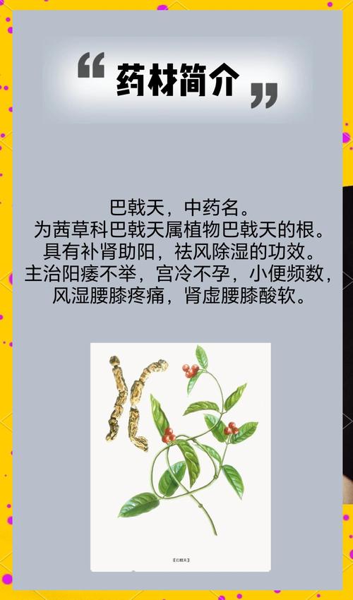 巴戟天的功效与作用，巴戟天的功效与作用是什么？-第6张图片-优品飞百科