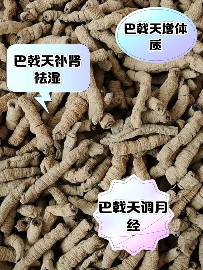 巴戟天的功效与作用，巴戟天的功效与作用是什么？-第8张图片-优品飞百科