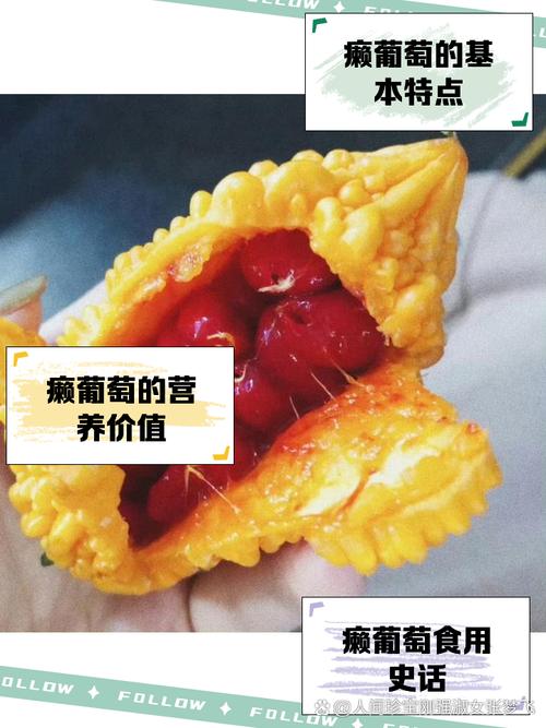 赖葡萄怎么吃,赖葡萄怎么吃才健康?-第4张图片-优品飞百科 赖葡萄怎么吃,赖葡萄怎么吃才健康?-第4张图片-优品飞百科