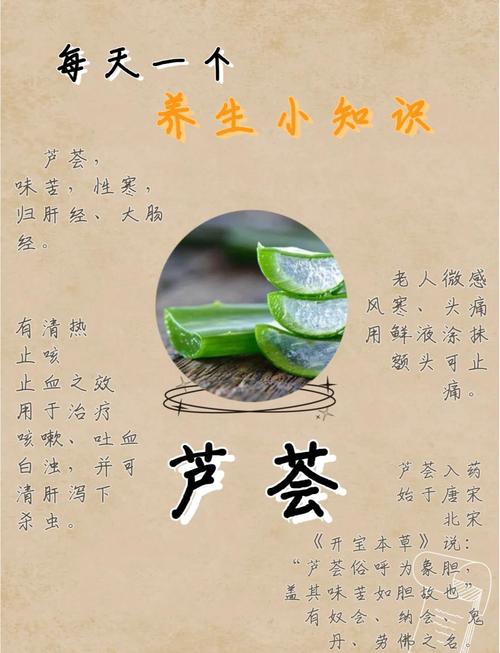 芦荟怎么吃？芦荟怎么吃效果比较好？-第2张图片-优品飞百科