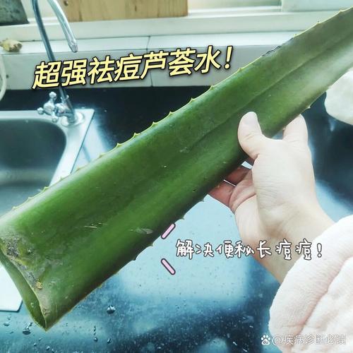 芦荟怎么吃？芦荟怎么吃效果比较好？-第5张图片-优品飞百科