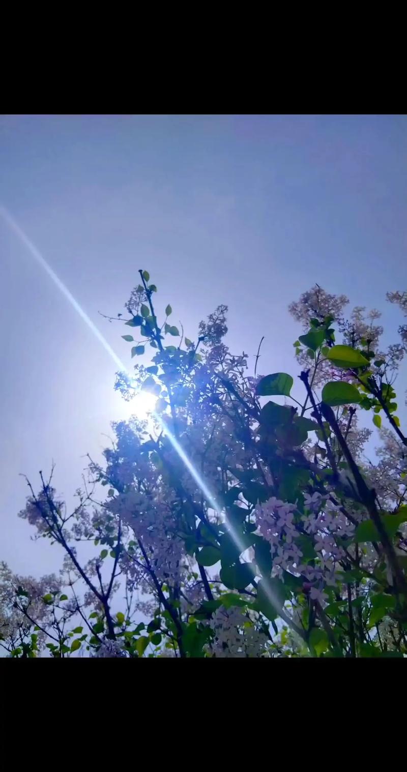 淮北一周天气预报?淮北天气预报未来15天?-第8张图片-优品飞百科 淮北一周天气预报?淮北天气预报未来15天?-第8张图片-优品飞百科