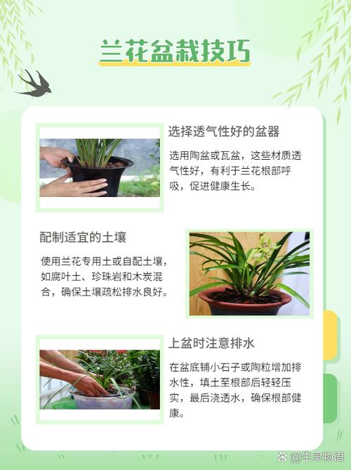 驴蹄草的养殖方法和注意事项？驴蹄草的养殖方法和注意事项有哪些？-第5张图片-优品飞百科