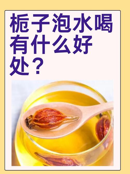 栀子花的功效和作用，栀子可以用来泡水喝吗，栀子花泡水功效与作用？-第2张图片-优品飞百科