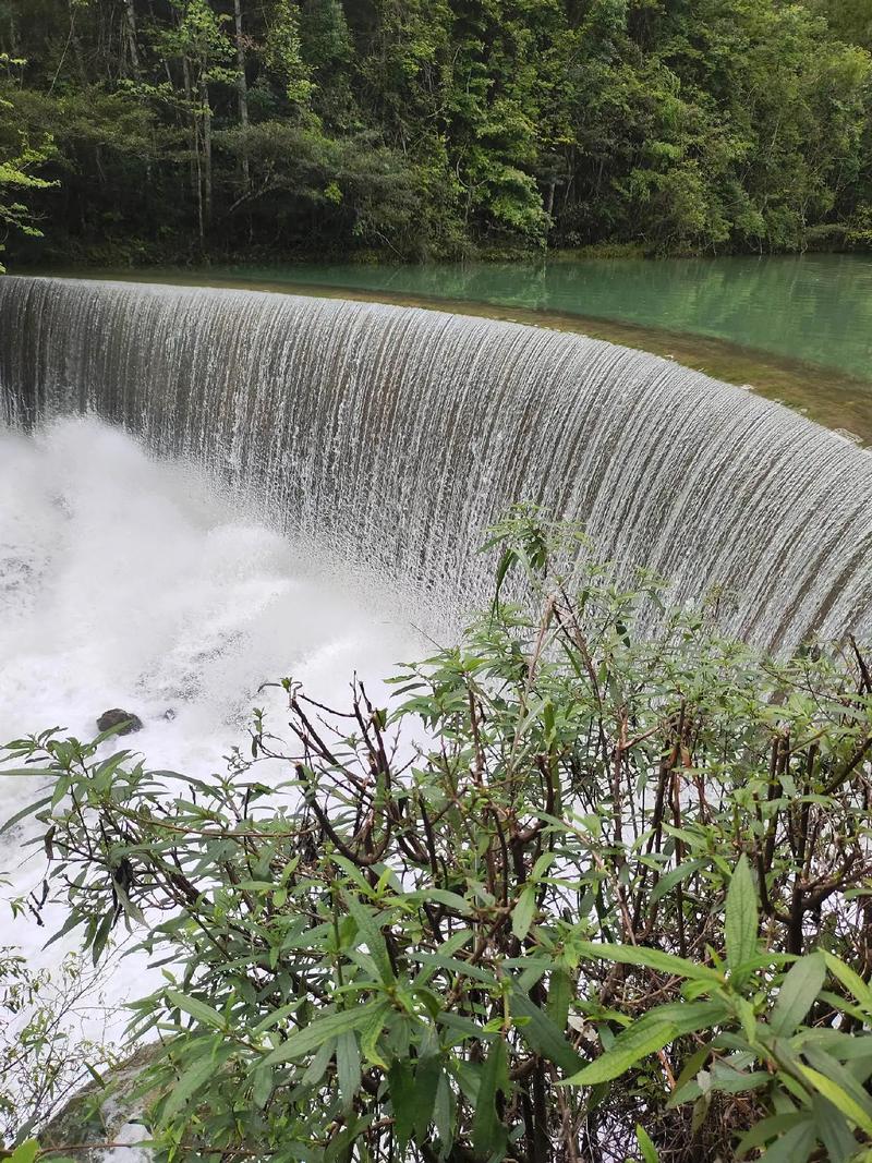 荔波近十天的天气，贵州荔波近一周的天气预报如何-第6张图片-优品飞百科