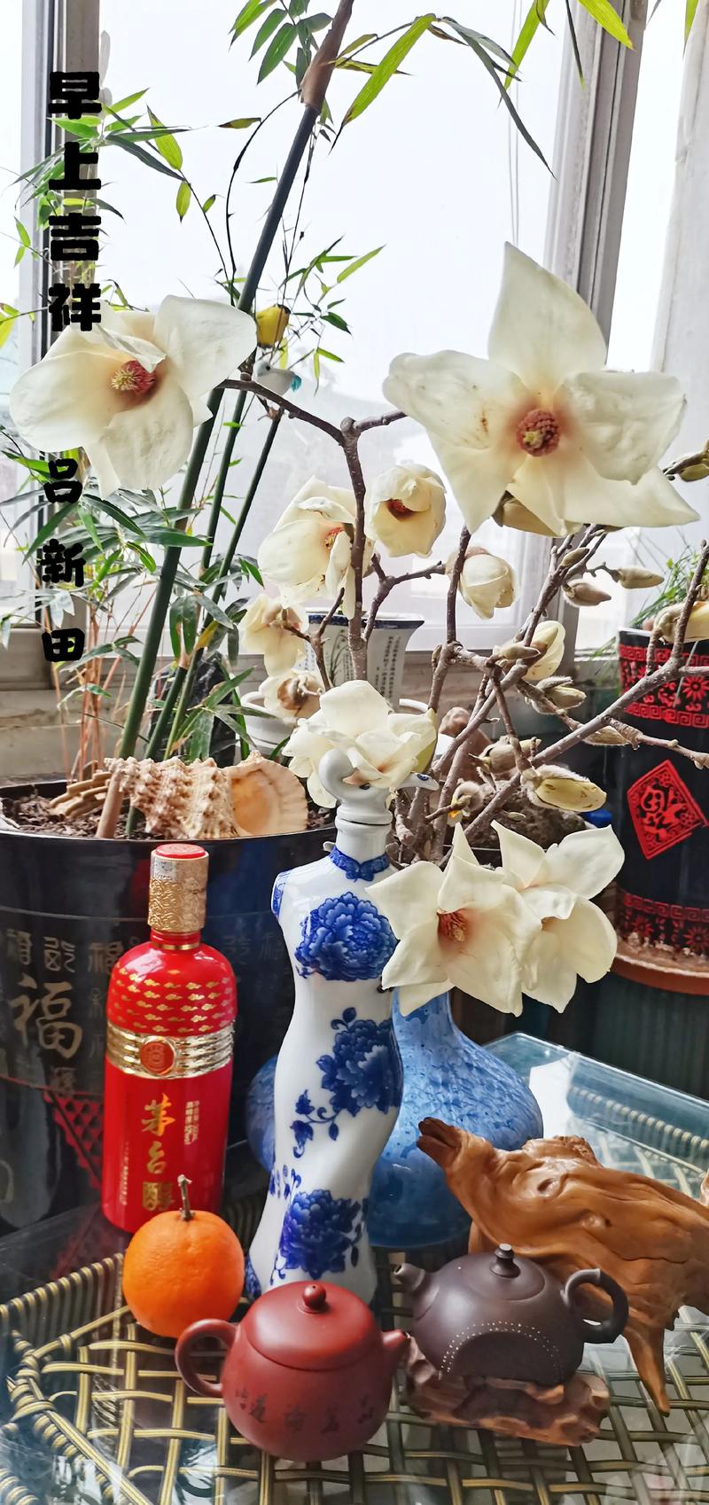 咸宁适合养什么花,市花和市树是什么,咸宁的市花?-第3张图片-优品飞百科 咸宁适合养什么花,市花和市树是什么,咸宁的市花?-第3张图片-优品飞百科